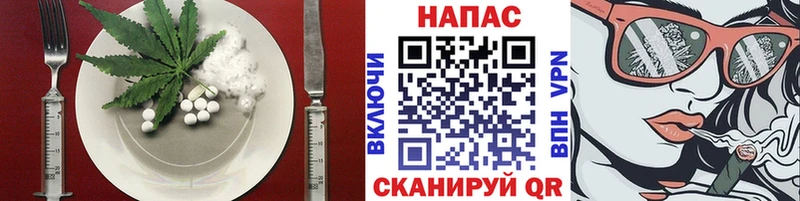 OMG ONION  Отрадное  Canna-Cookies марихуана 