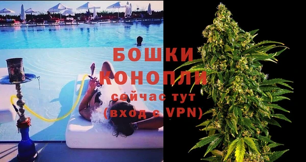 стаф Рославль