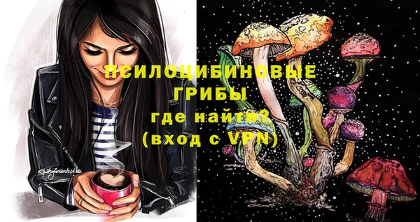 PSILOCYBIN Россошь