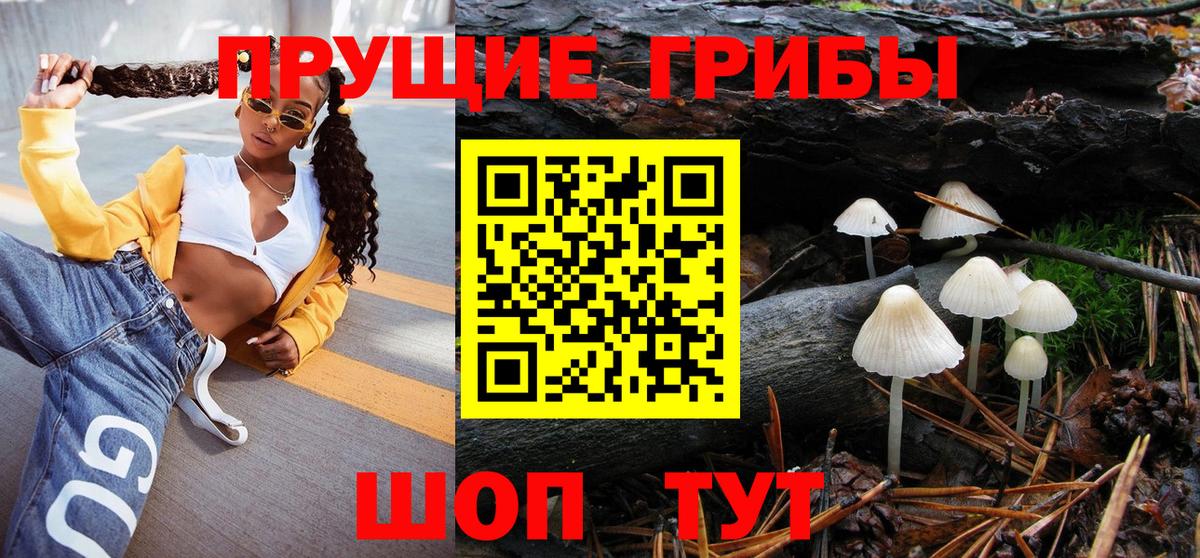 Галлюциногенные грибы мицелий  Галлюциногенные грибы прущие грибы  Вход с VPN  купить закладку  Отрадное 