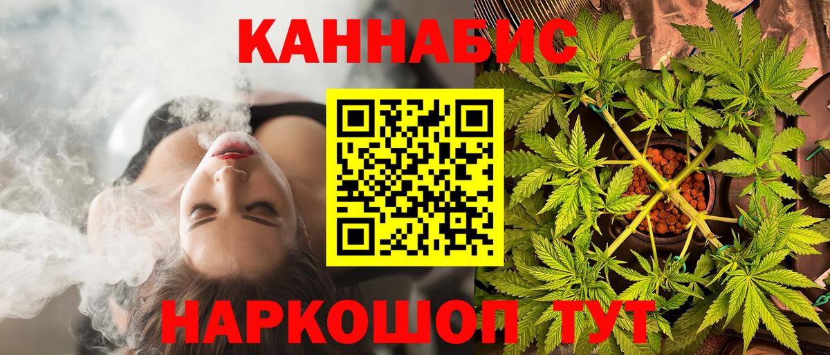 Марихуана конопля Отрадное